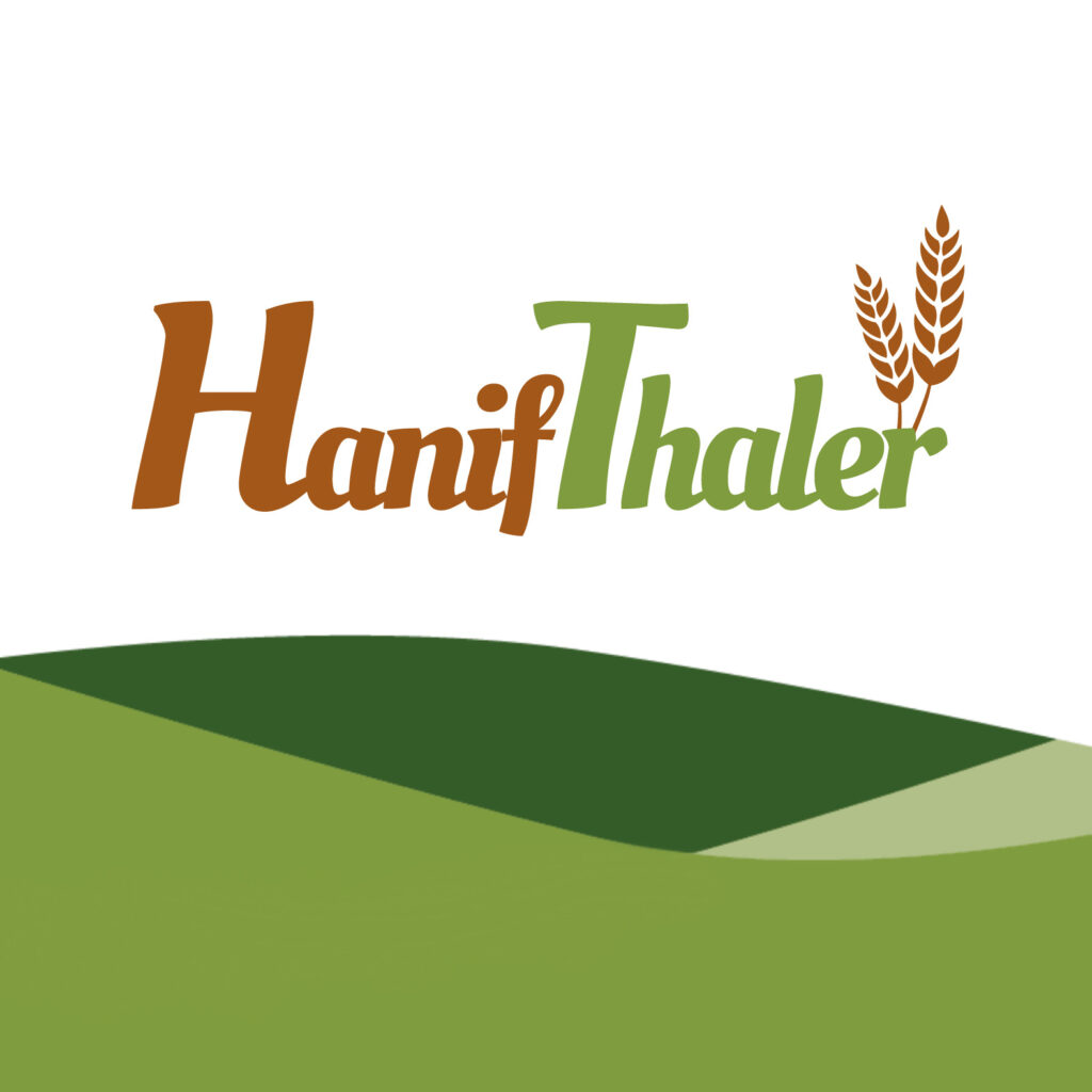 Einsigartig Logo Hanifthaler